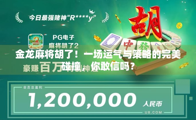 金龙麻将胡了！一场运气与策略的完美碰撞，你敢信吗？